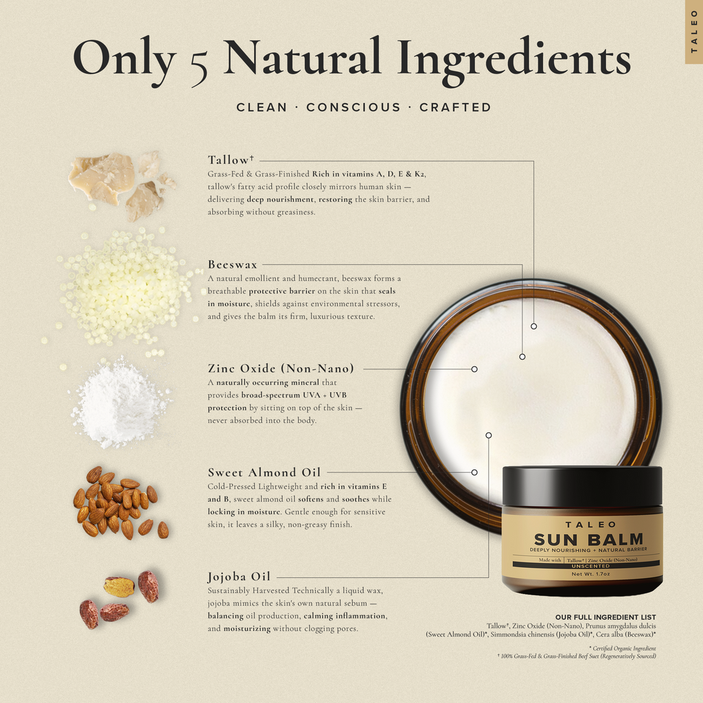 TALEO Sun Balm ingredients — grass-fed tallow, non-nano zinc oxide, beeswax, sweet almond oil, jojoba oil