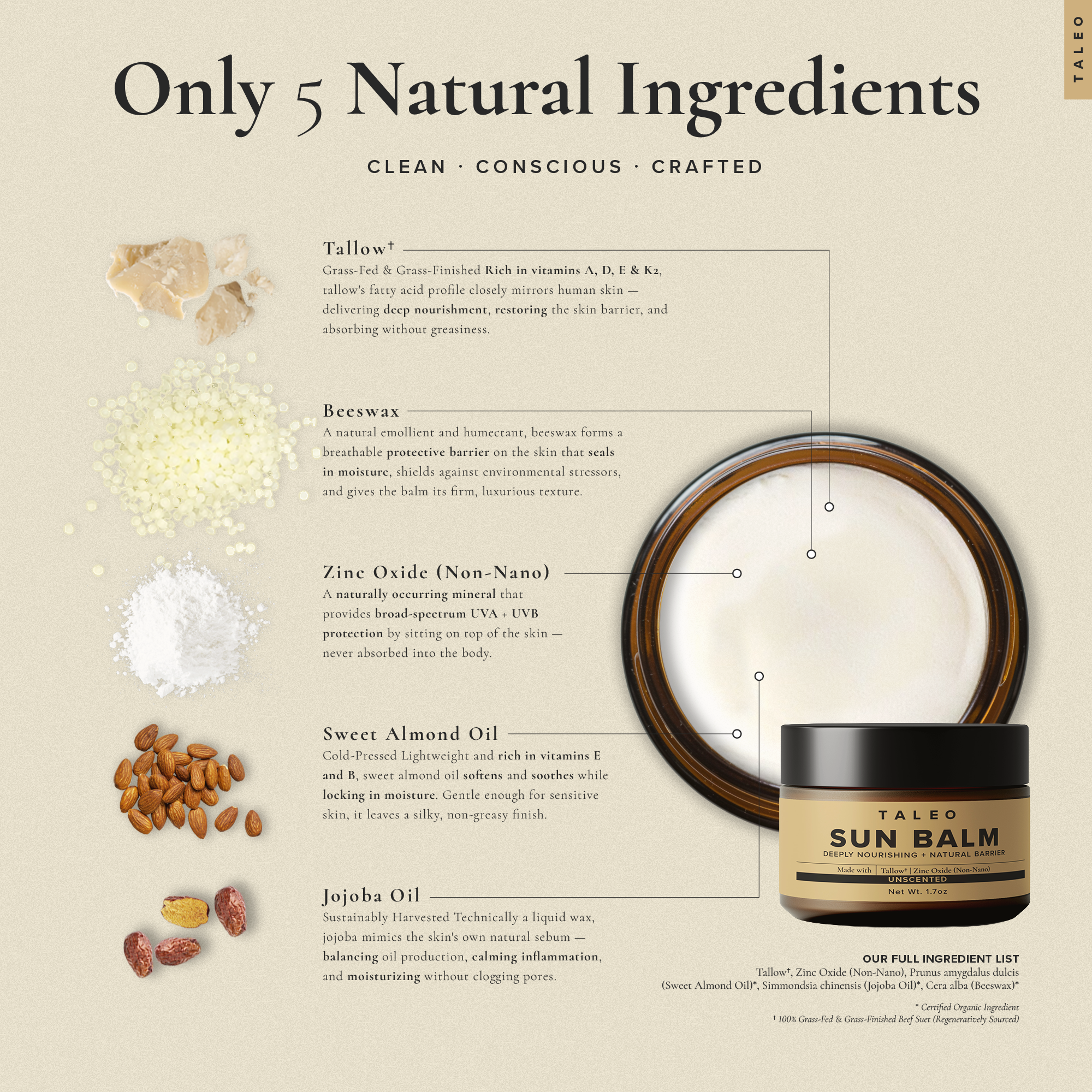 TALEO Sun Balm ingredients — grass-fed tallow, non-nano zinc oxide, beeswax, sweet almond oil, jojoba oil